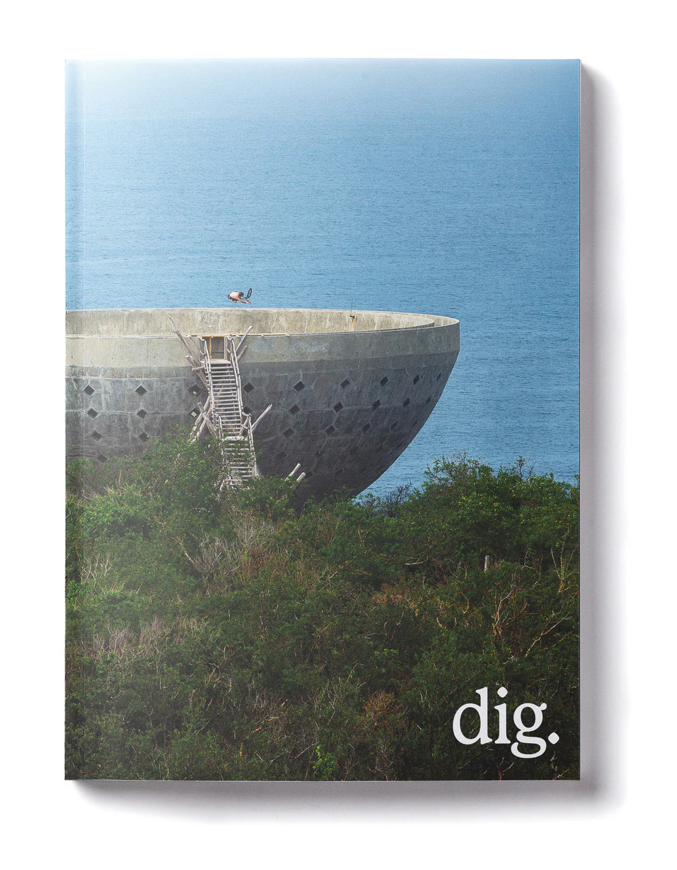 DIG ISSUE #2023