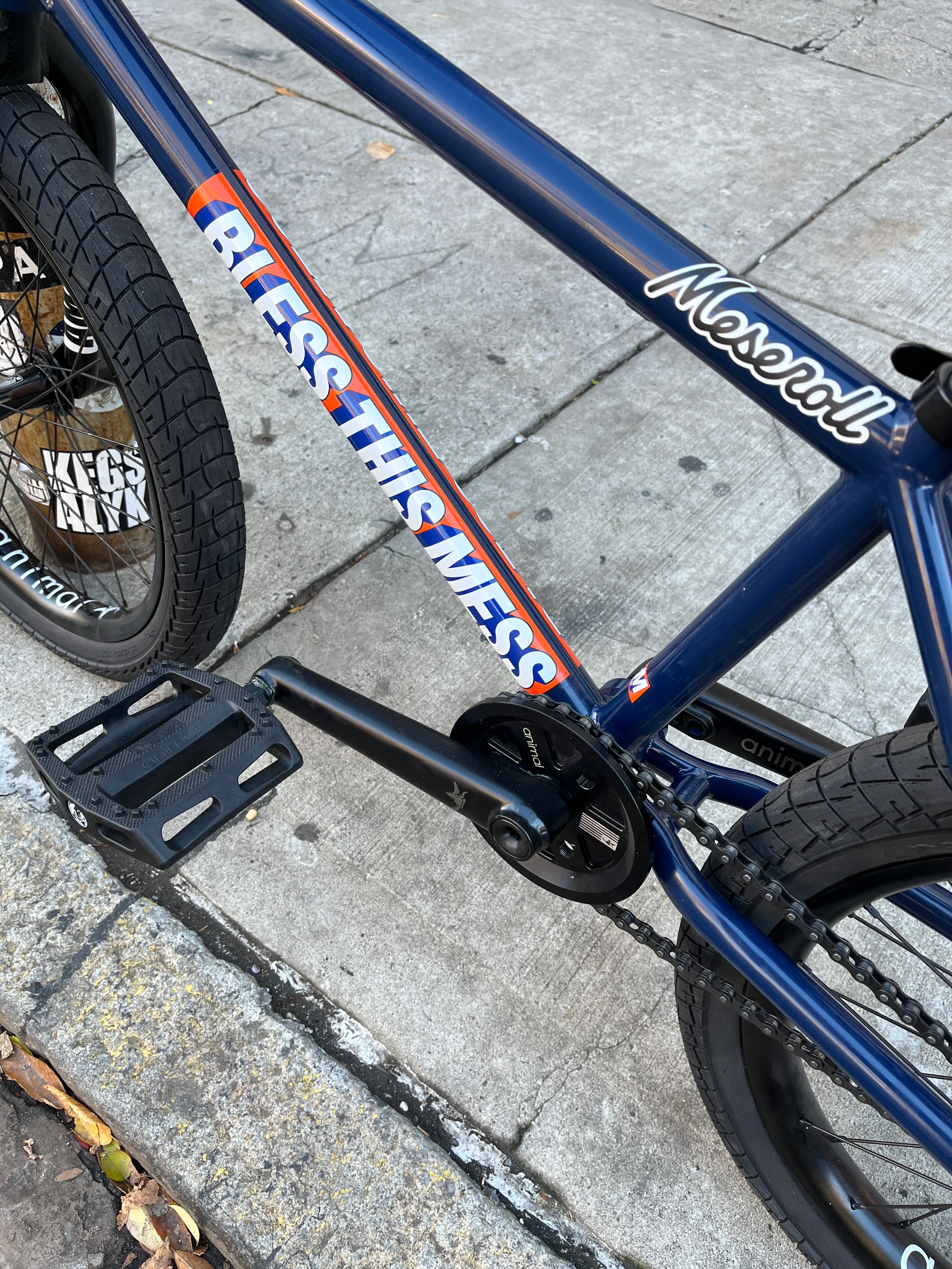 Edwin DeLaRosa BTM XL Custom Complete BMX Bike - Image 5