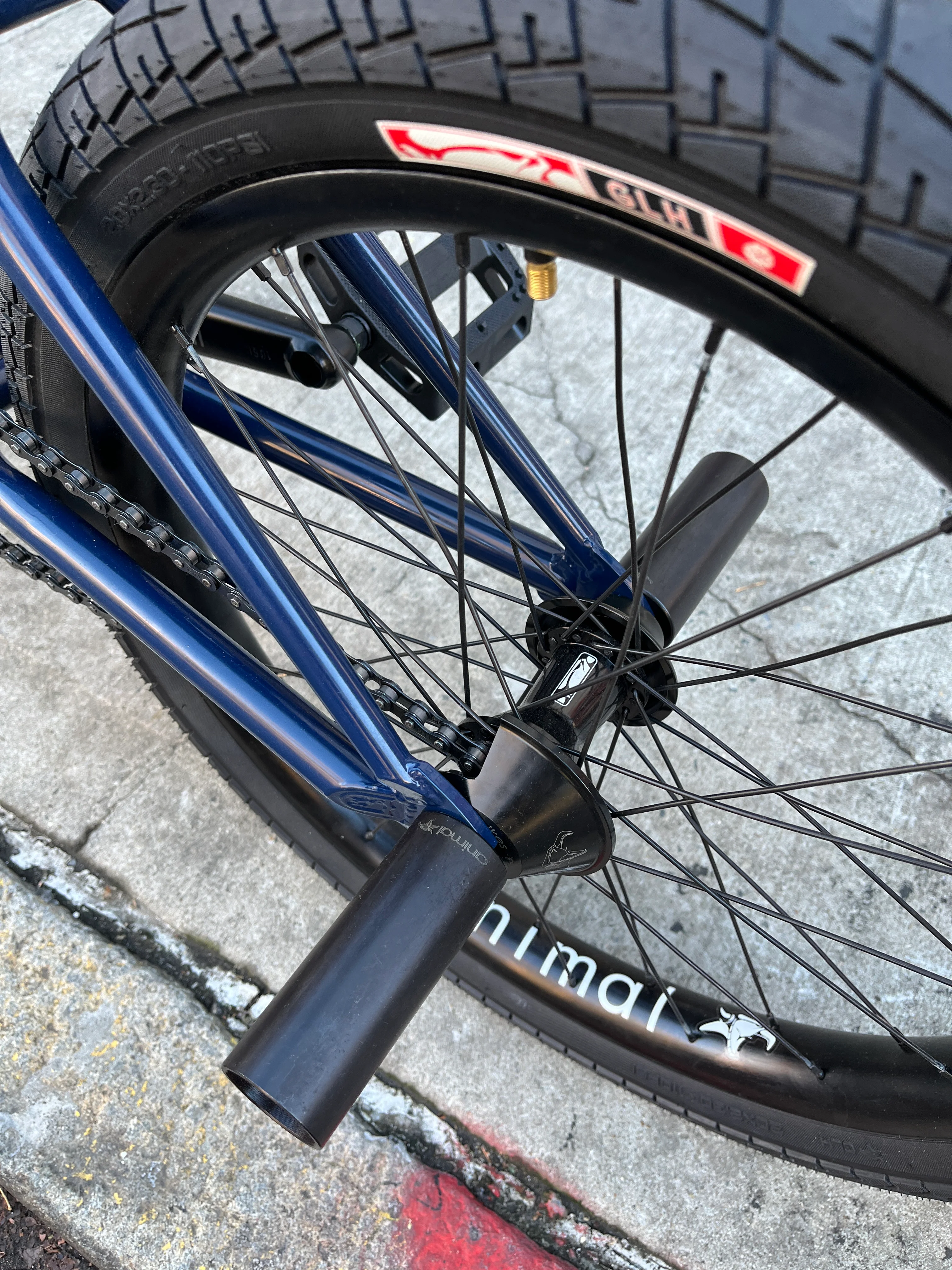 Edwin DeLaRosa BTM XL Custom Complete BMX Bike - Image 6