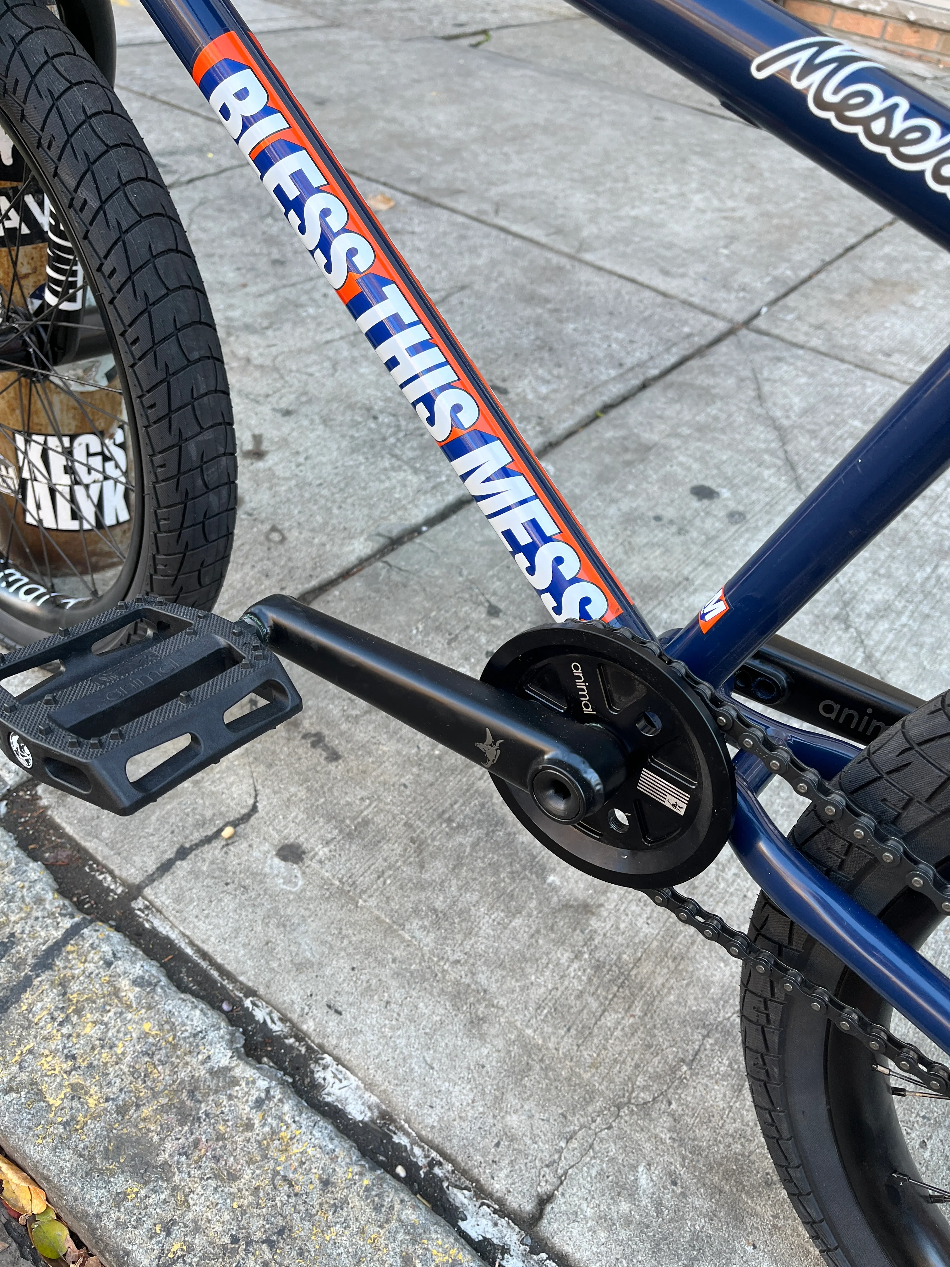 Edwin DeLaRosa BTM XL Custom Complete BMX Bike - Image 8