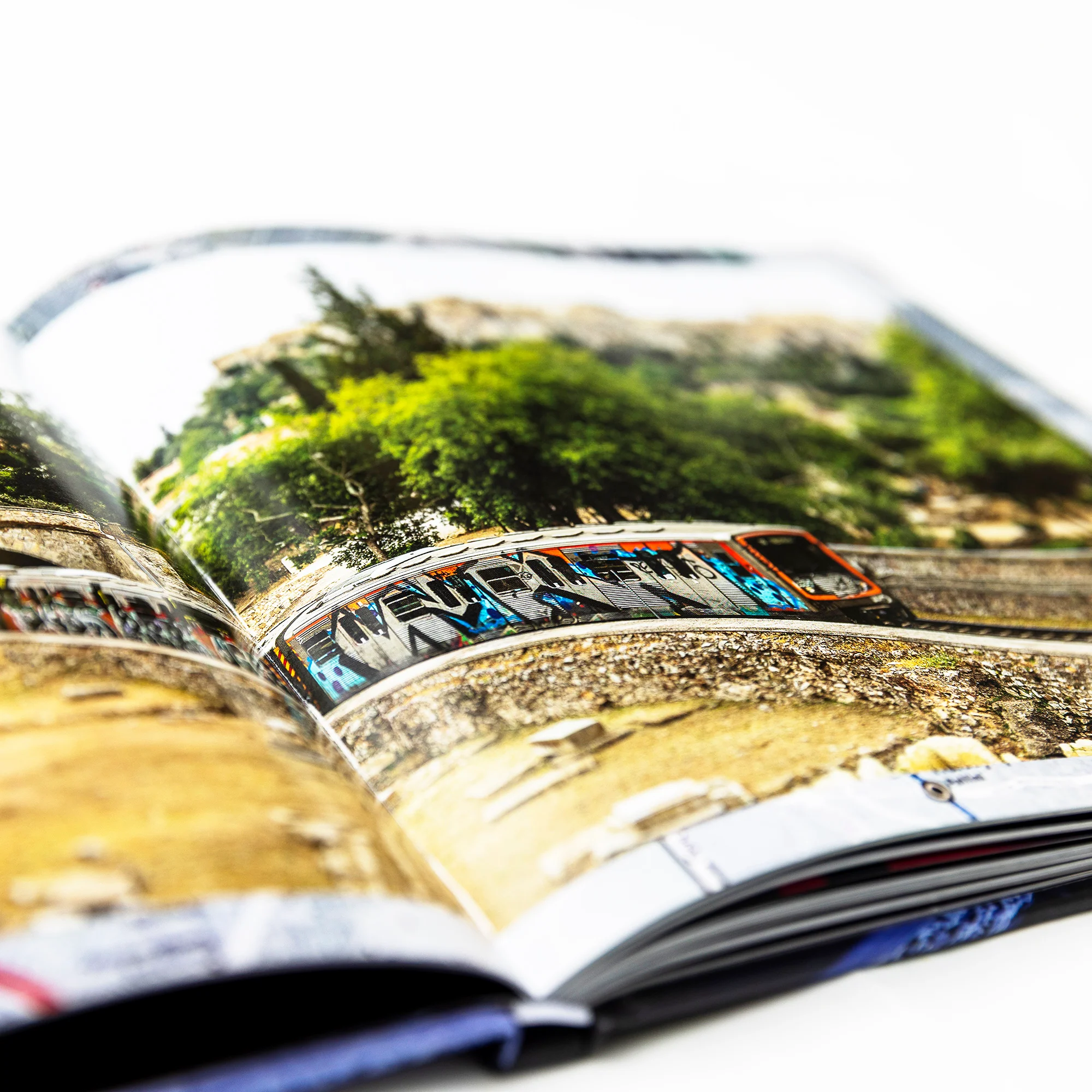 MAINTAIN IV.V - “ DERAILED ” Book by Rob Dolecki - Image 10