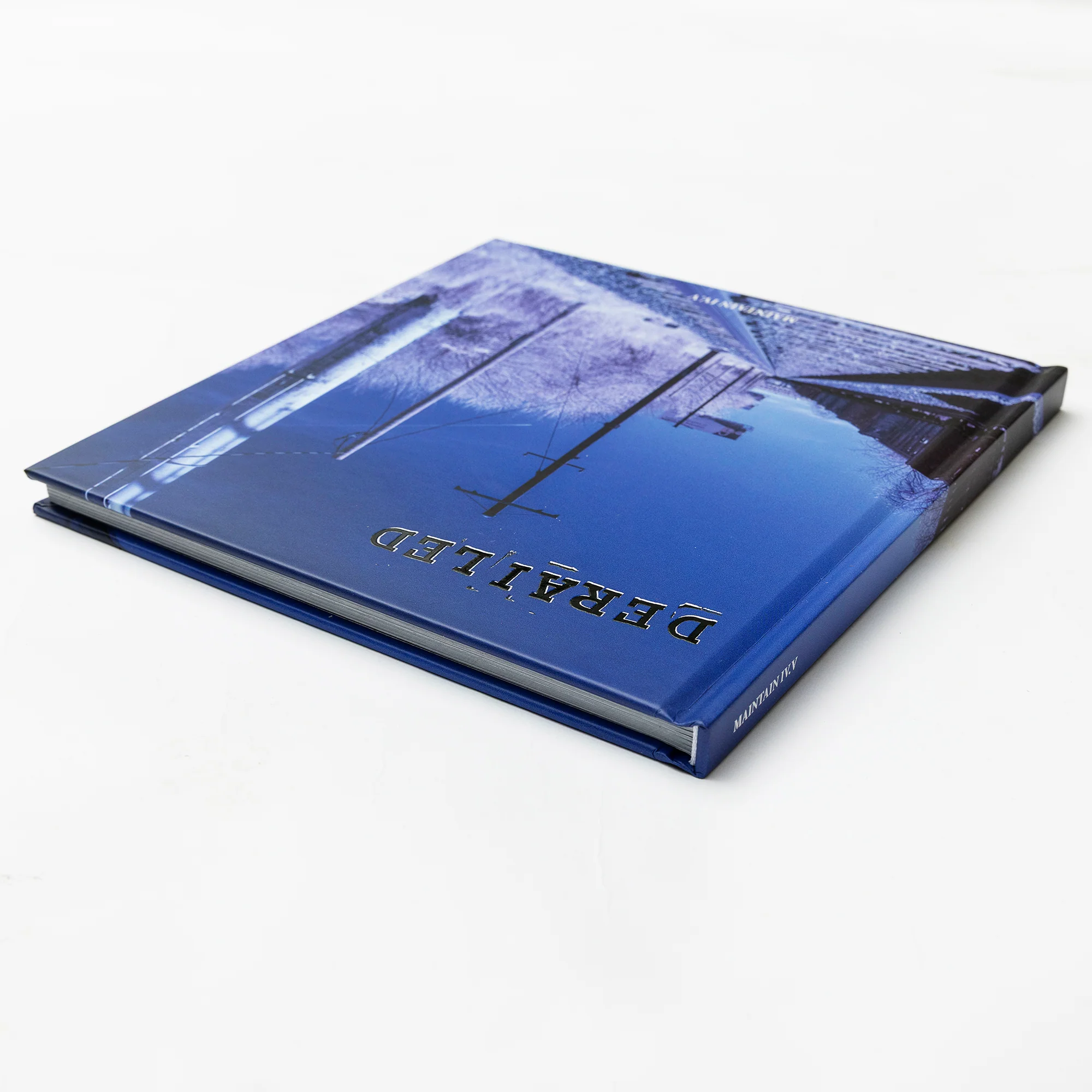 MAINTAIN IV.V - “ DERAILED ” Book by Rob Dolecki - Image 4
