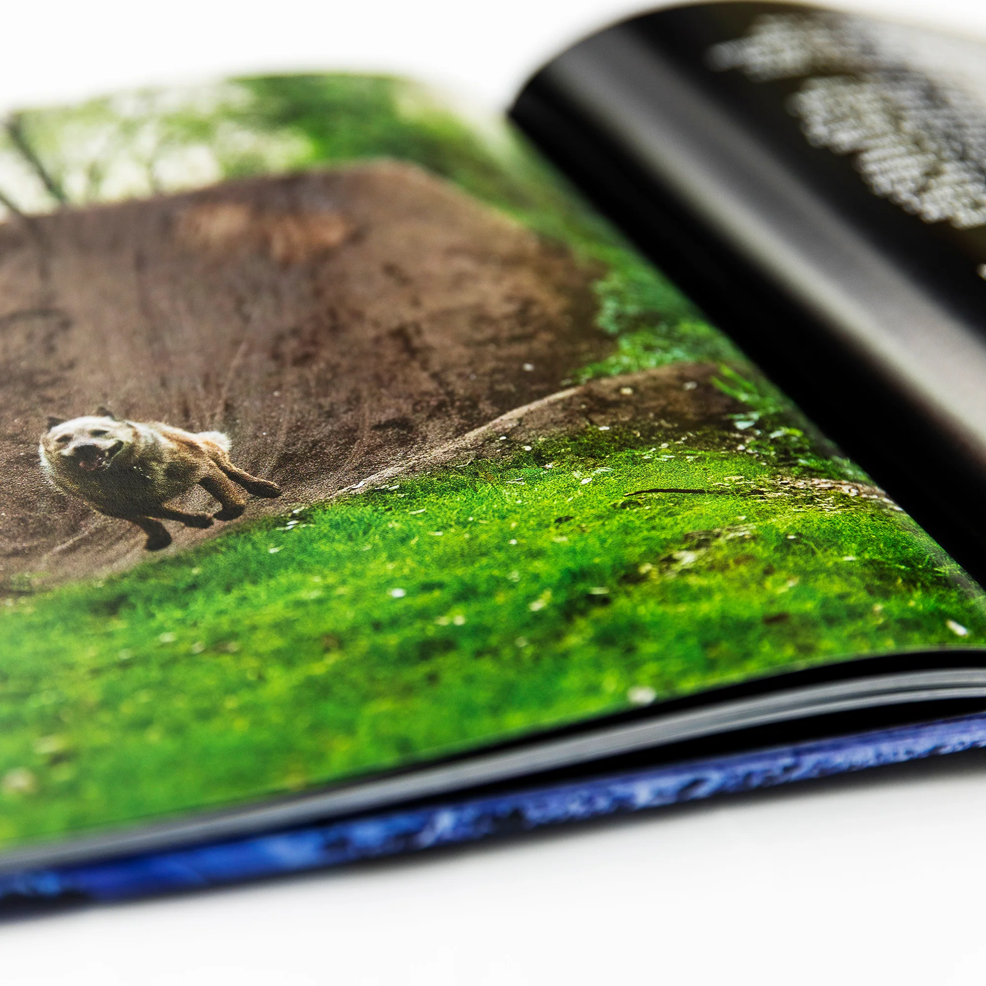 MAINTAIN IV.V - “ DERAILED ” Book by Rob Dolecki - Image 7