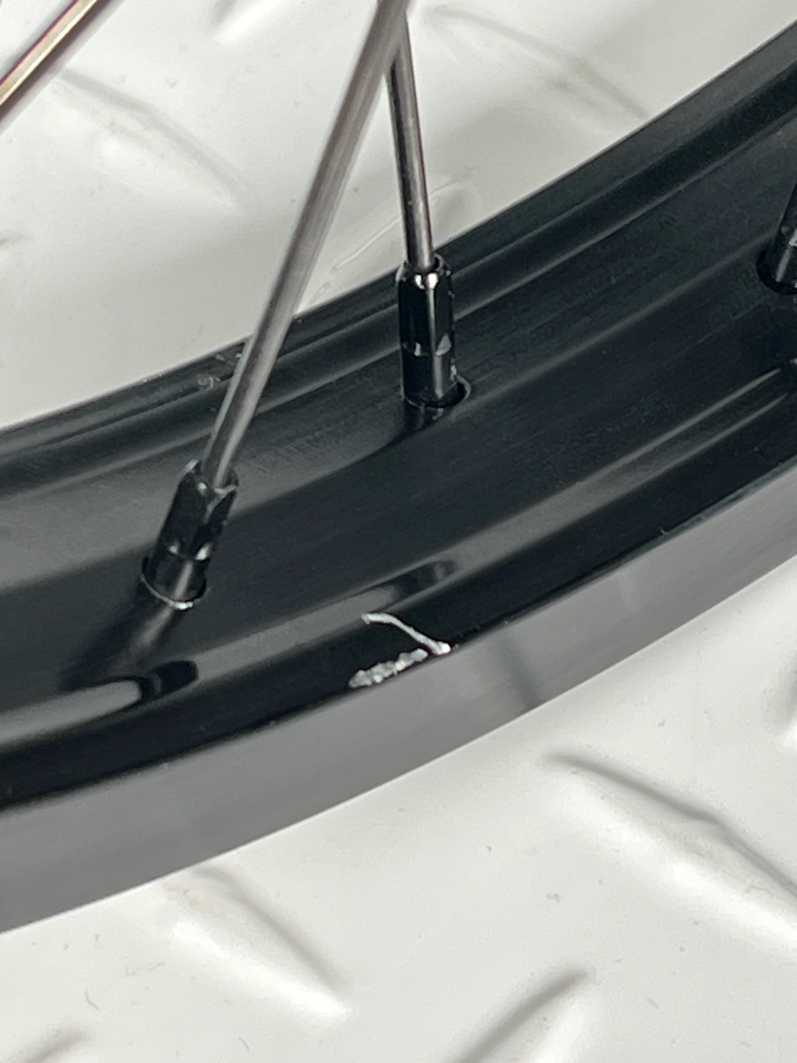 Shadow Optimized x Calle Freecoaster Custom Wheel - Image 2